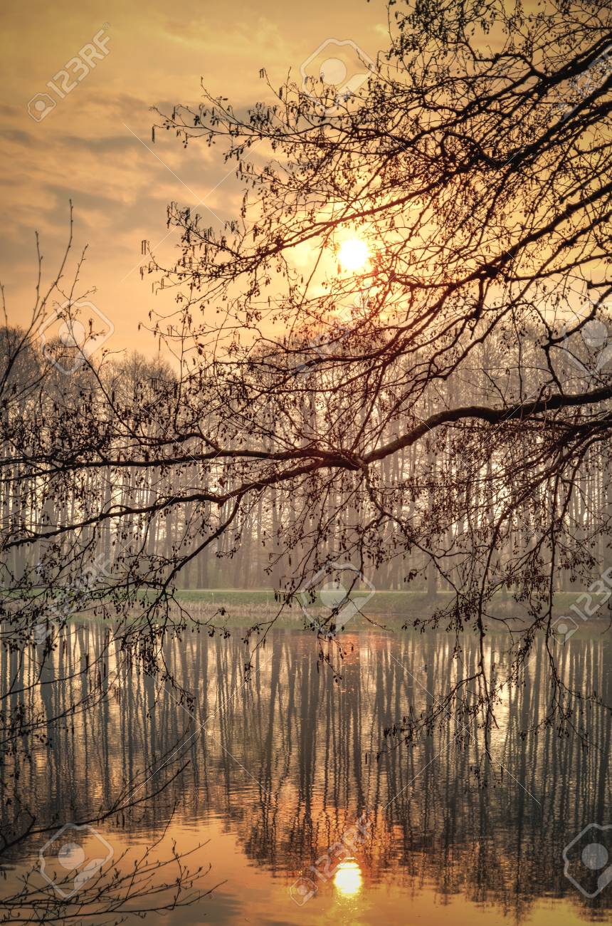 Paysage Du Matin Du Printemps Soleil Levant Sur L Etang Dans Le Parc Banque D Images Et Photos Libres De Droits Image