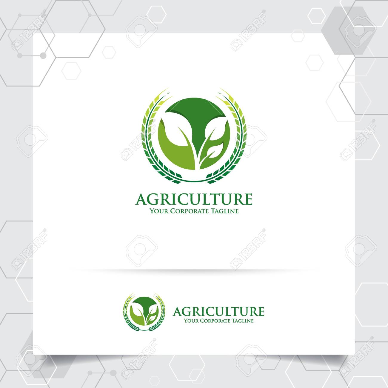 Agriculture Logo Design With Concept Of Grain Icon And Plant