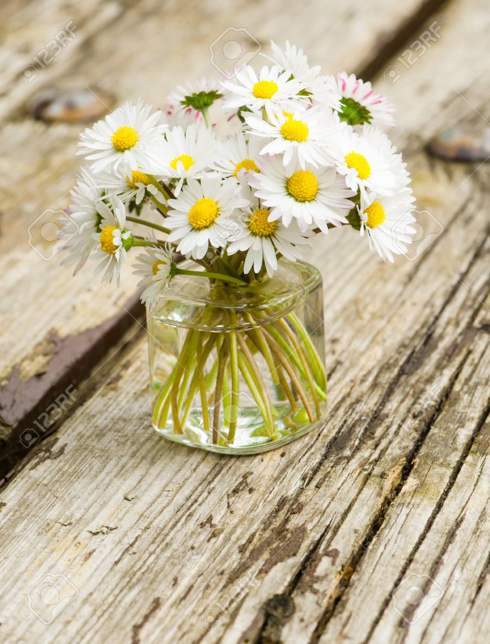 Fleurs De Pré Fleurs Blanches Dans Un Petit Vase De Verre Sur Le Sol En Bois De Grunge Bellis Perennis Bouquet De Petites Fleurs De Marguerites