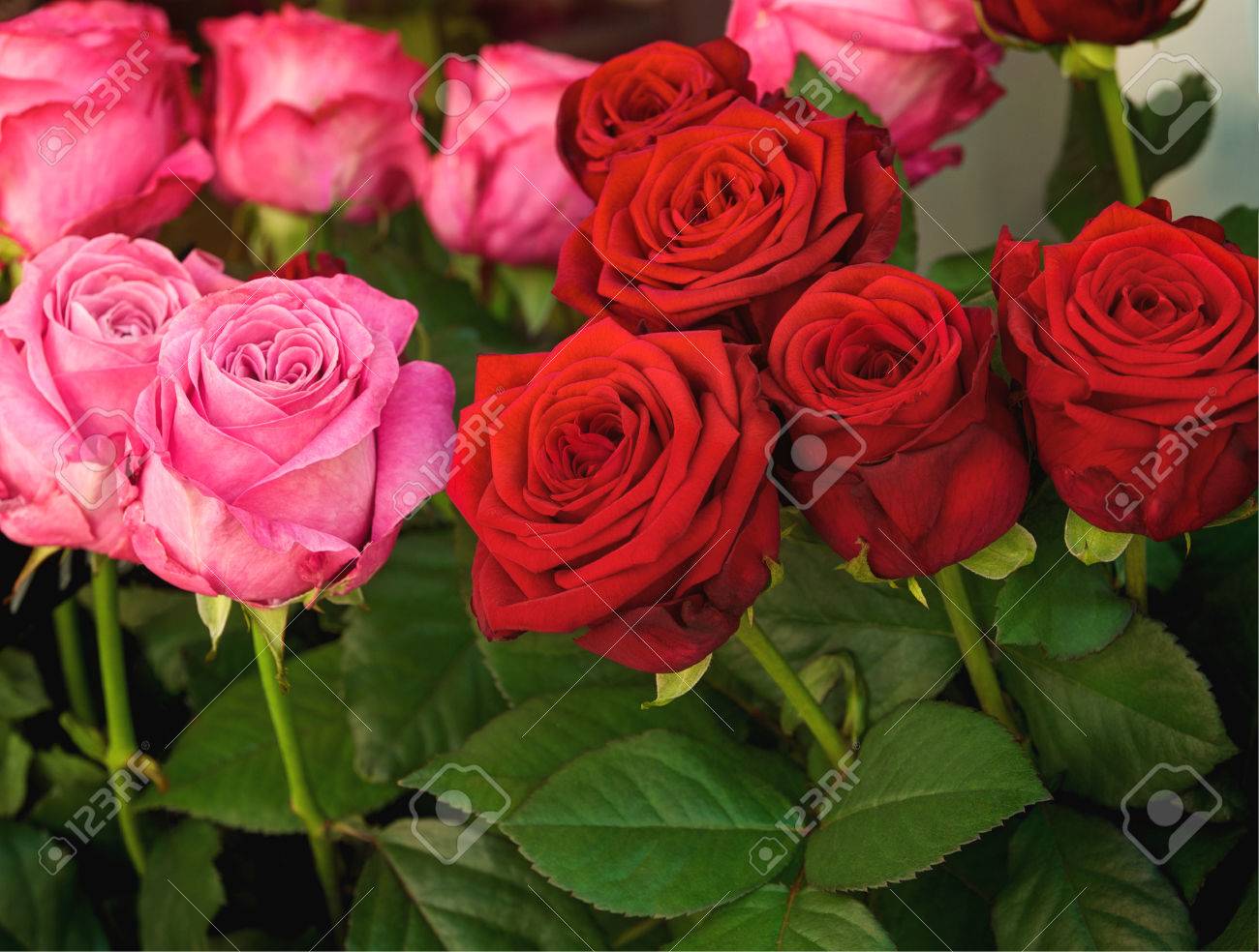 Grappes De Roses Rouges Et Roses à Longue Tige Offre Au Fleuriste Fleurs élégantes Fête Des Mères Floristique