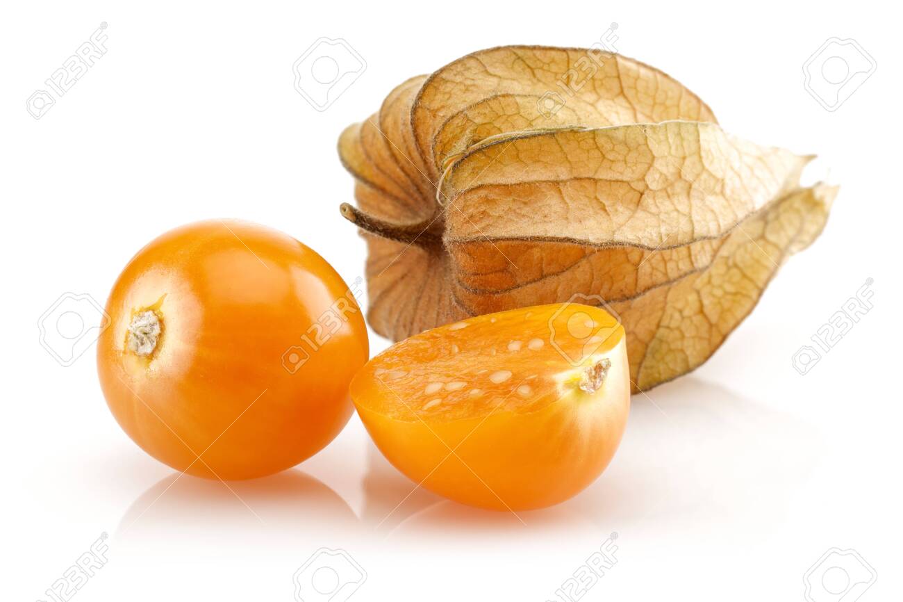 Physalis Fruit Or Winter Cherry Isolated On White Background Stock Photo Picture And Royalty Free Image Image Physalis Fruit Or Winter Cherry Isolated On White Background Stock Photo Picture And Royalty Free Image Image