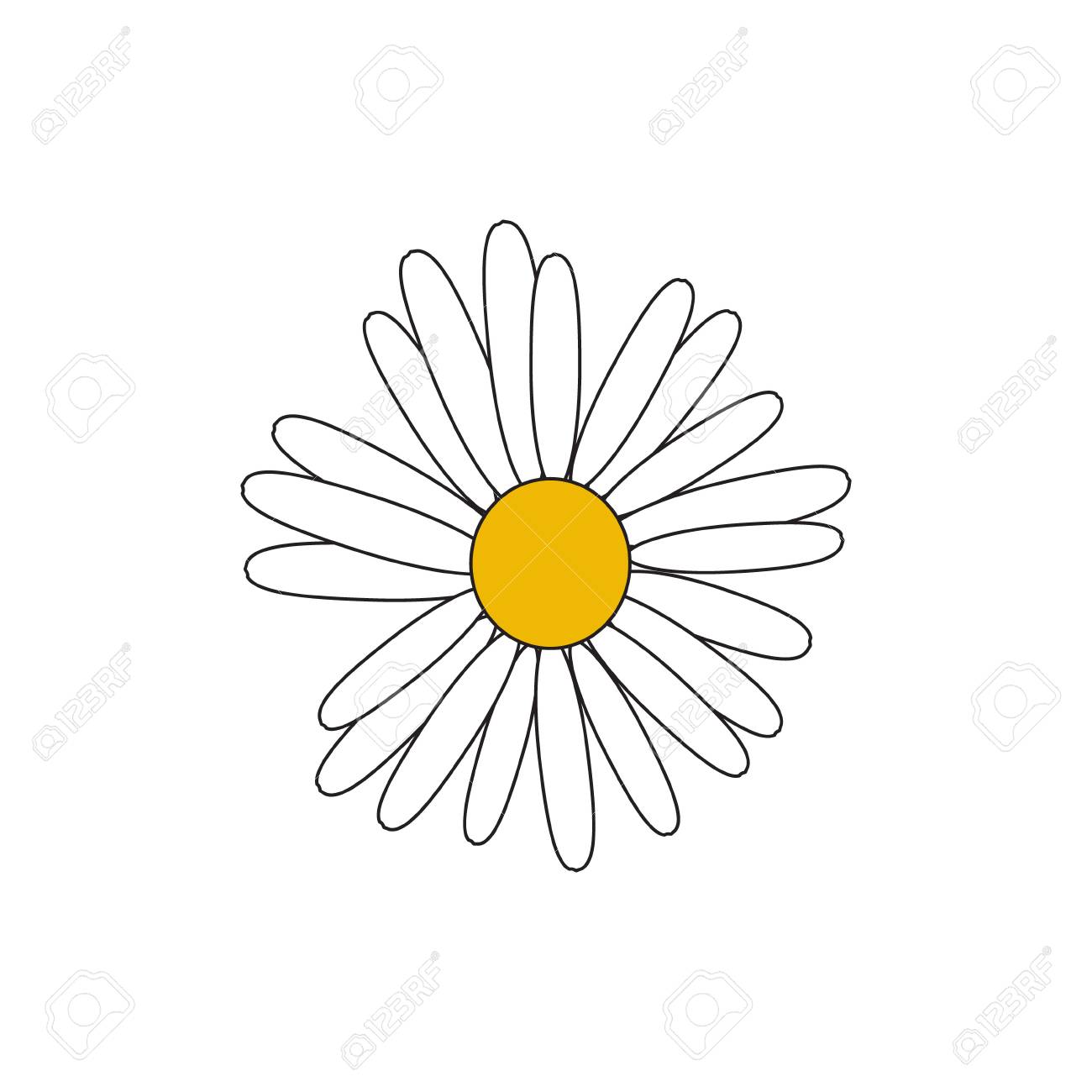 Daisy Flower On A Transparent Background. Royalty Free SVG, Cliparts,  Vectors, and Stock Illustration. Image 82986692.