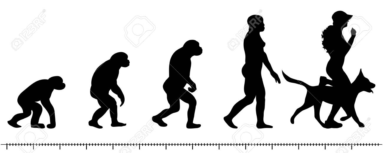 白の背景にベクトル進化女性シルエットのイラスト素材 ベクタ Image