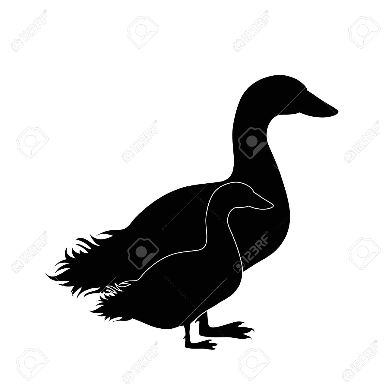 Silhouette Vecteur De La Mere De L Oie Avec Bebe Oison Symbole De L Animal Et De La Volaille Clip Art Libres De Droits Vecteurs Et Illustration Image