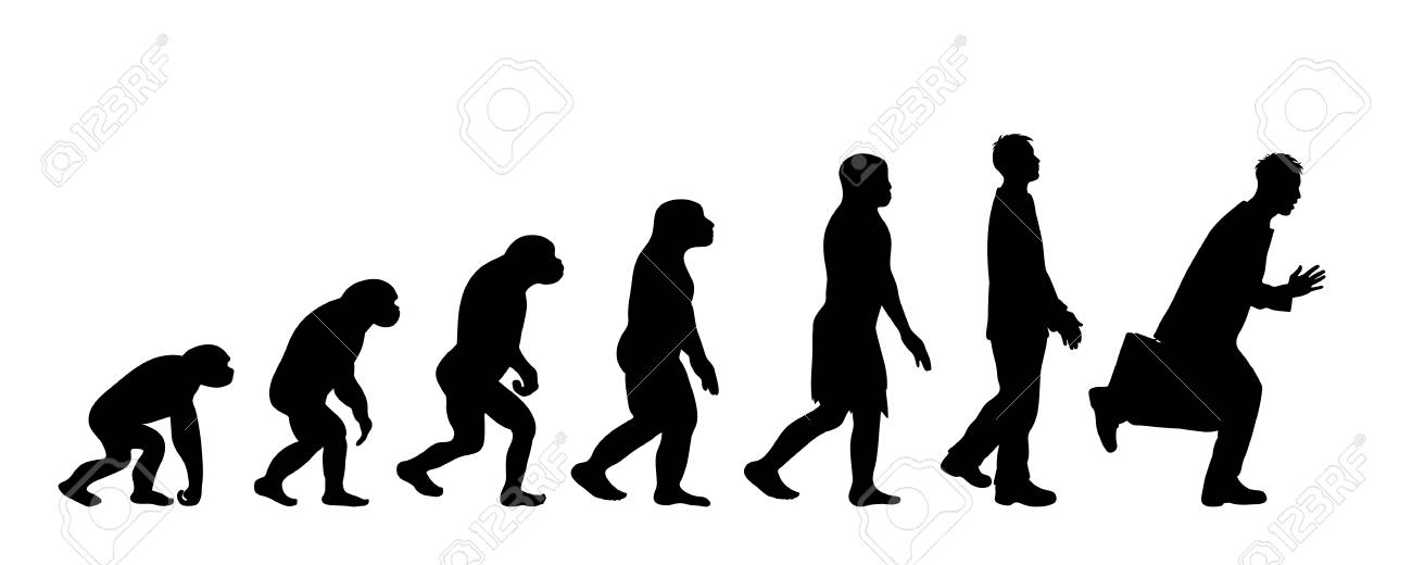 Theory Of Evolution Of Man Vector Silhouette Of Homo Sapiens Royalty Free Cliparts Vectors And Stock Illustration Image 120539714 theory of evolution of man vector silhouette of homo sapiens