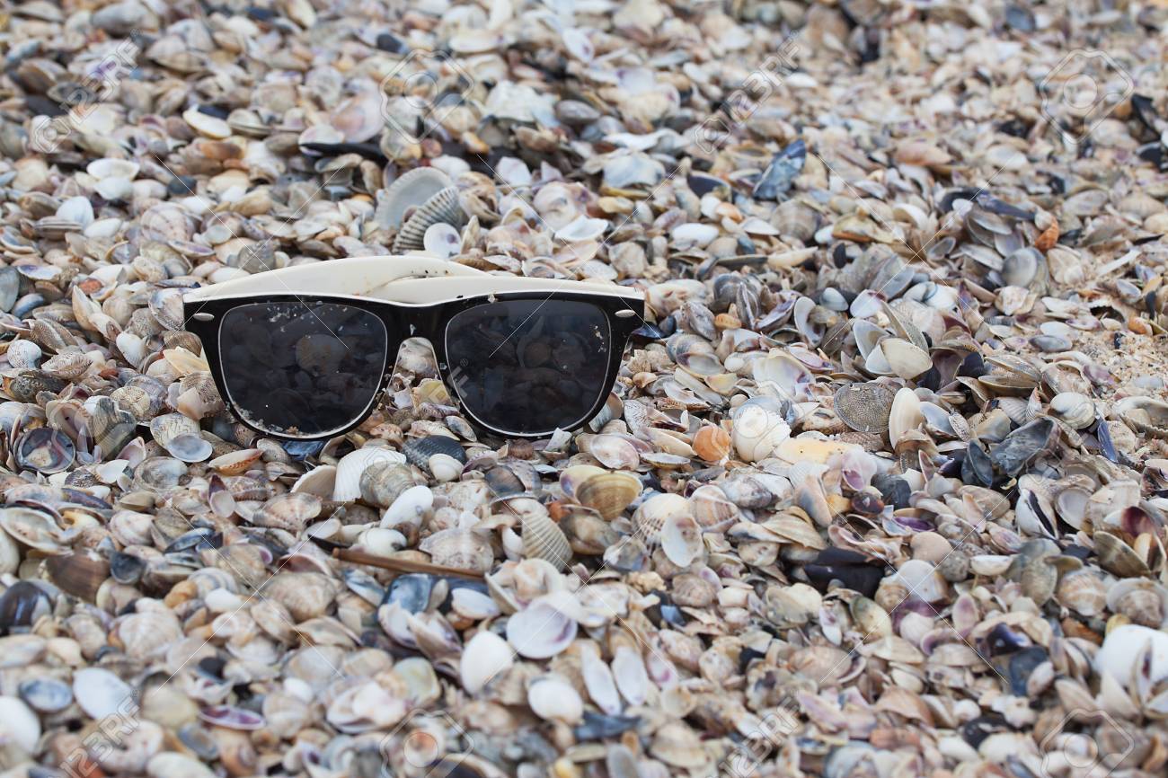 Sunglasses on seashells on the seashore close-up. - 79907679 Sunglasses on seashells on the seashore close-up. - 79907679