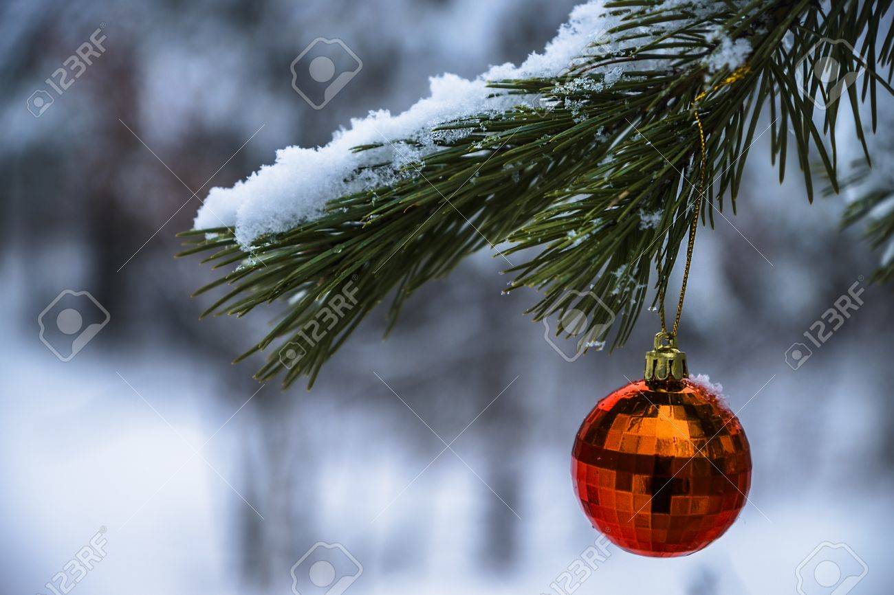 decorated christmas tree with red balloon in the forest stock photo christmas in the forest
