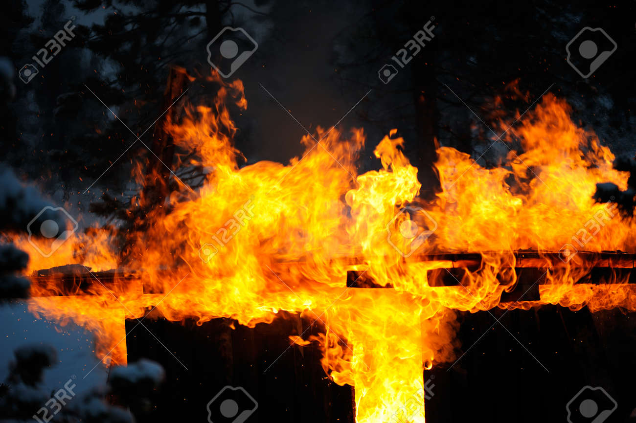 etiam-dictum-ipsum-a-felis