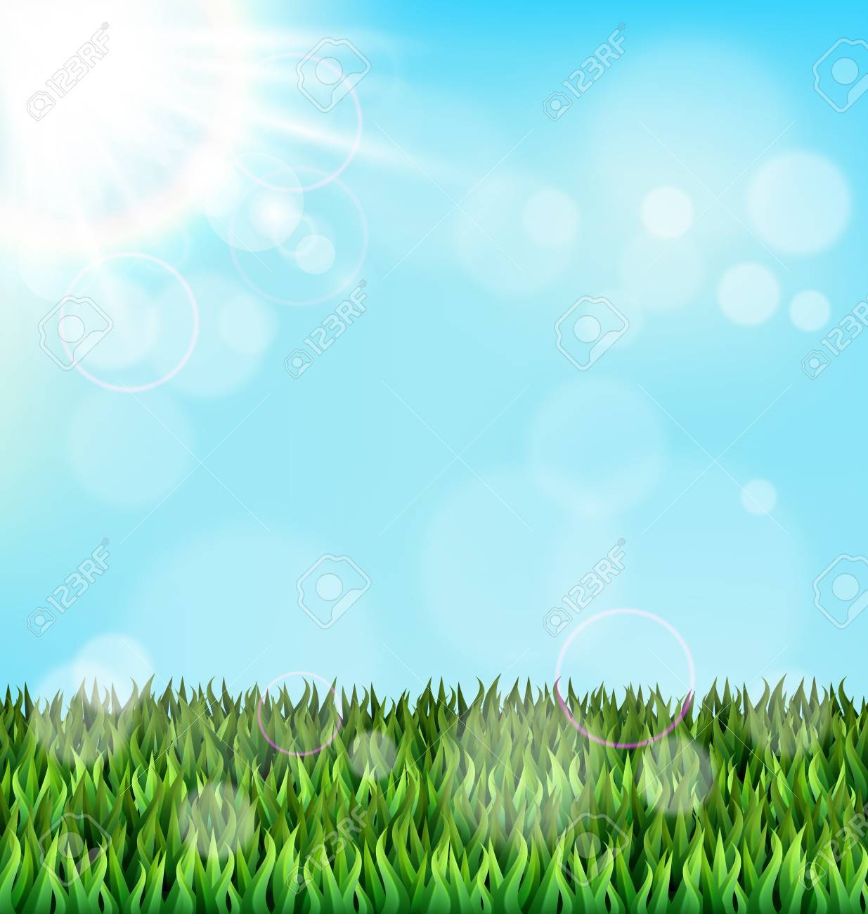 青空に太陽の光と緑の草の芝生 花自然春の背景 のイラスト素材 ベクタ Image