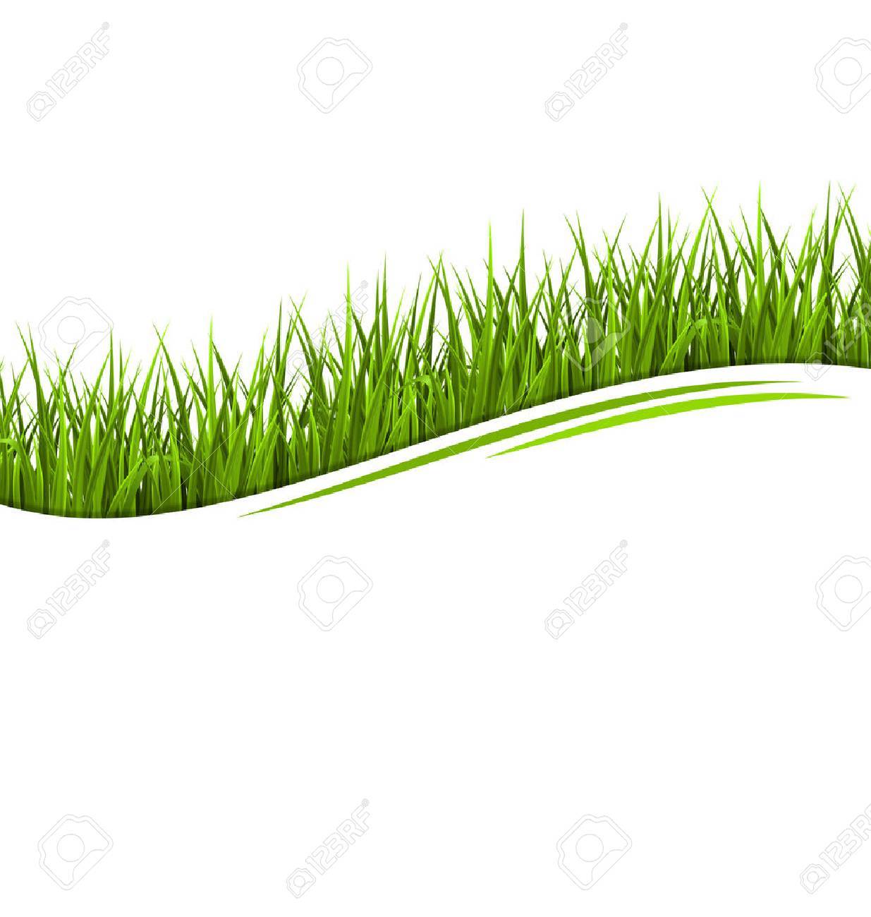 緑の草の芝生の波白で隔離 花エコ 自然の背景 のイラスト素材 ベクタ Image 3727