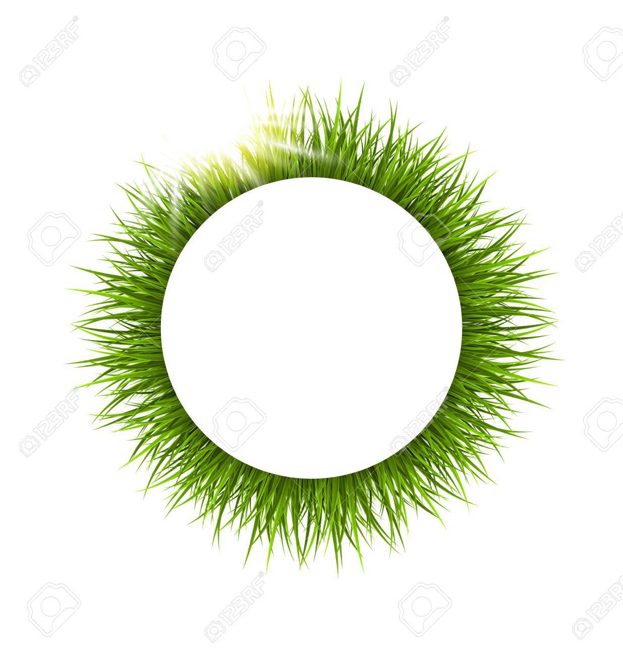 緑の芝生と日光丸フレームのイラスト素材 ベクタ Image