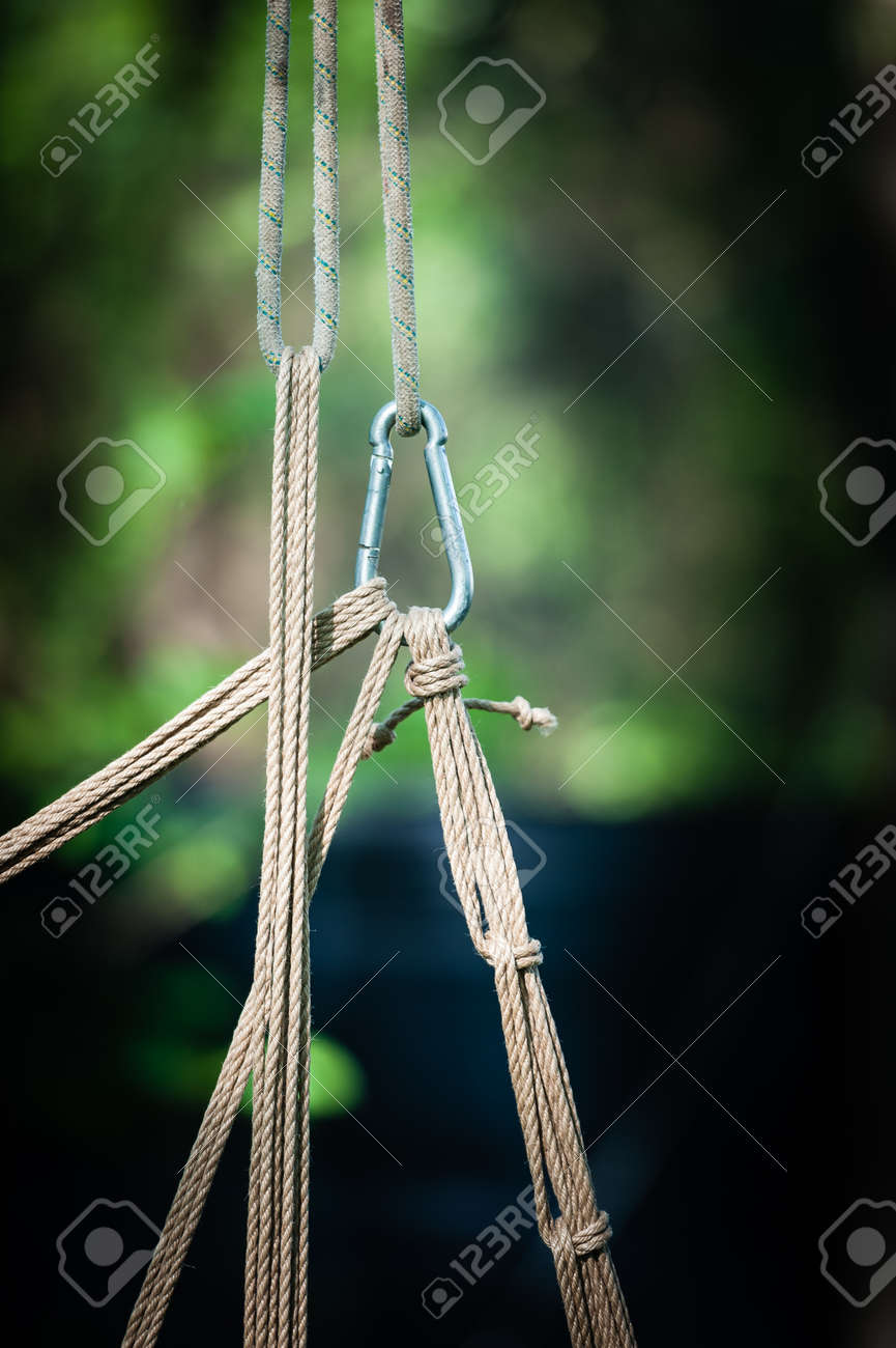 竹緊縛 緊縛ロープの写真素材・画像素材 Image 20850732