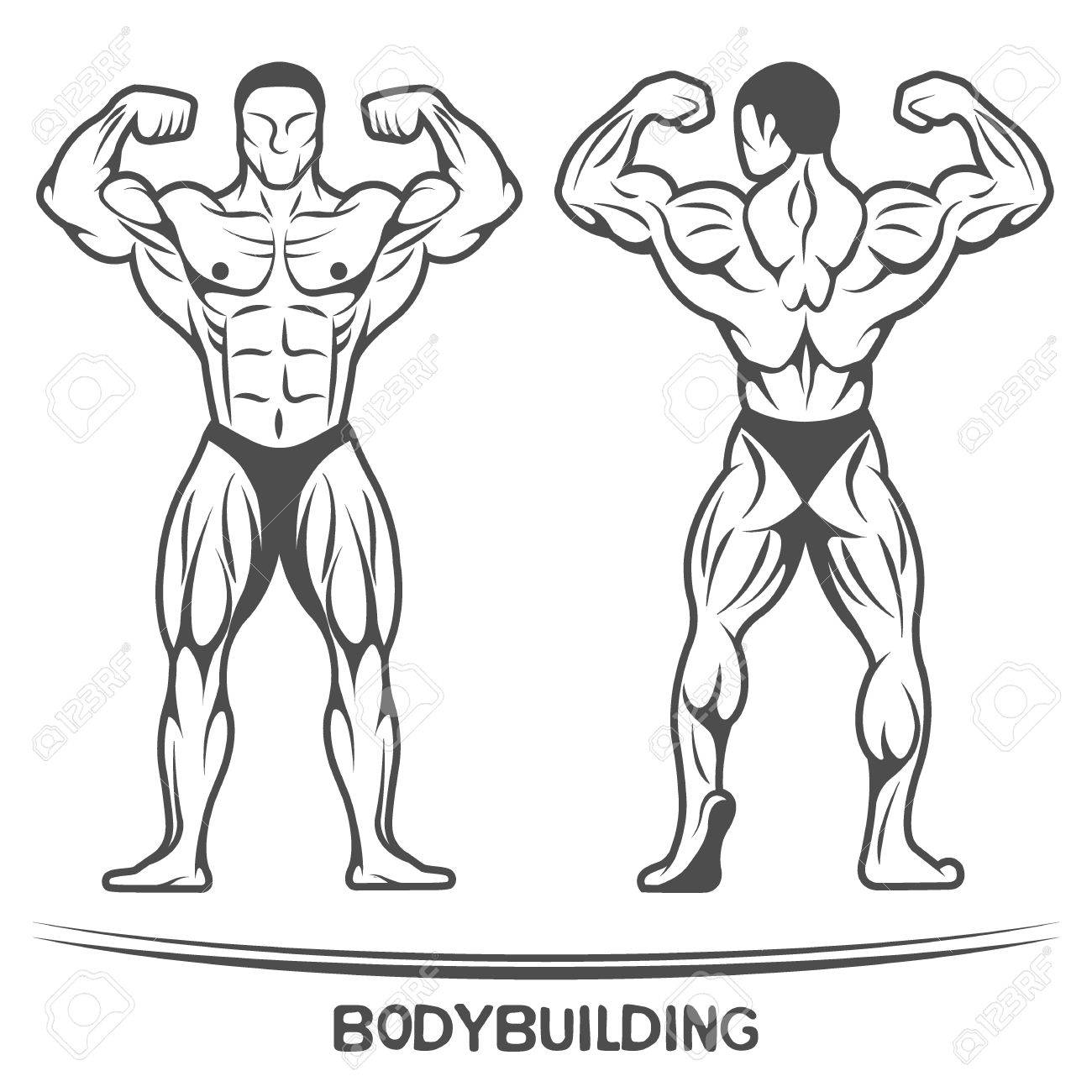 Bodybuilder Two Positions-on Isolated Background Vector Illustration.  Royalty Free SVG, Cliparts, Vectors, and Stock Illustration. Image 39492254.