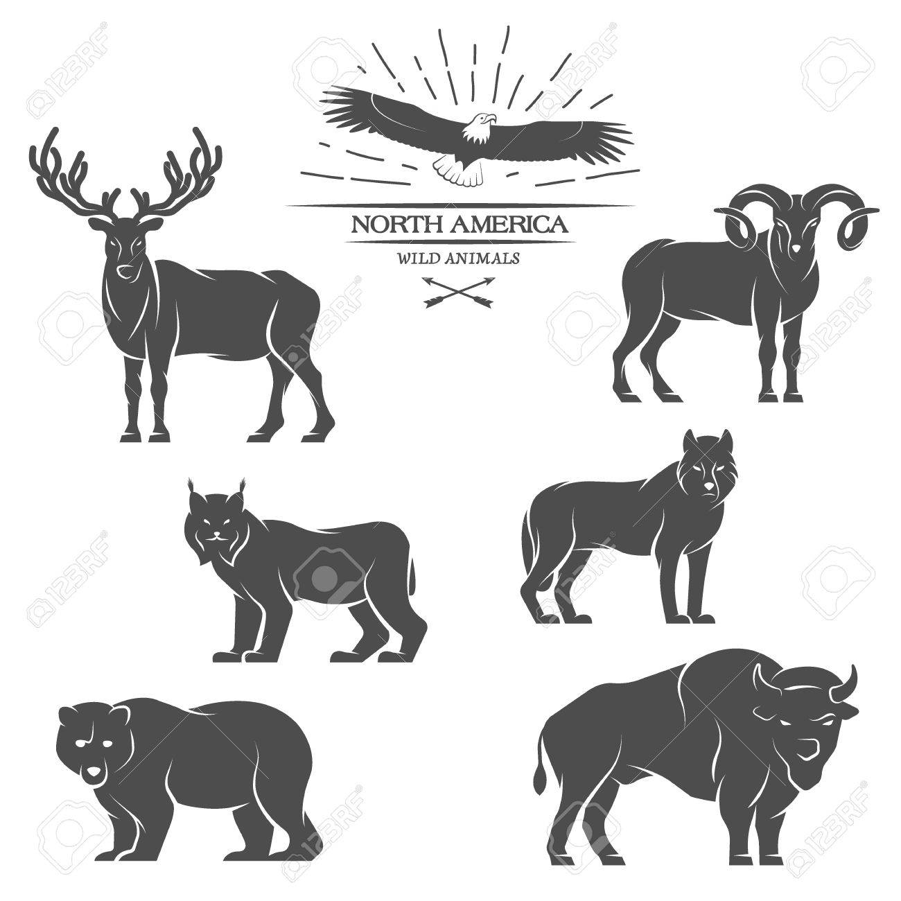 Grosse Tiere In Nordamerika Vektor Illustration Lizenzfrei Nutzbare Vektorgrafiken Clip Arts Illustrationen Image 40350823