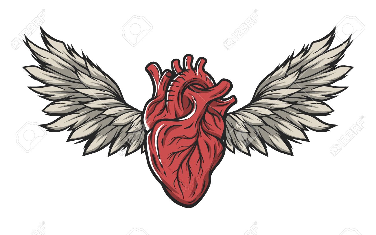 Anatomische Herz Mit Flugeln Tattoo Zeichen Symbol Color Version Lizenzfrei Nutzbare Vektorgrafiken Clip Arts Illustrationen Image 54905313
