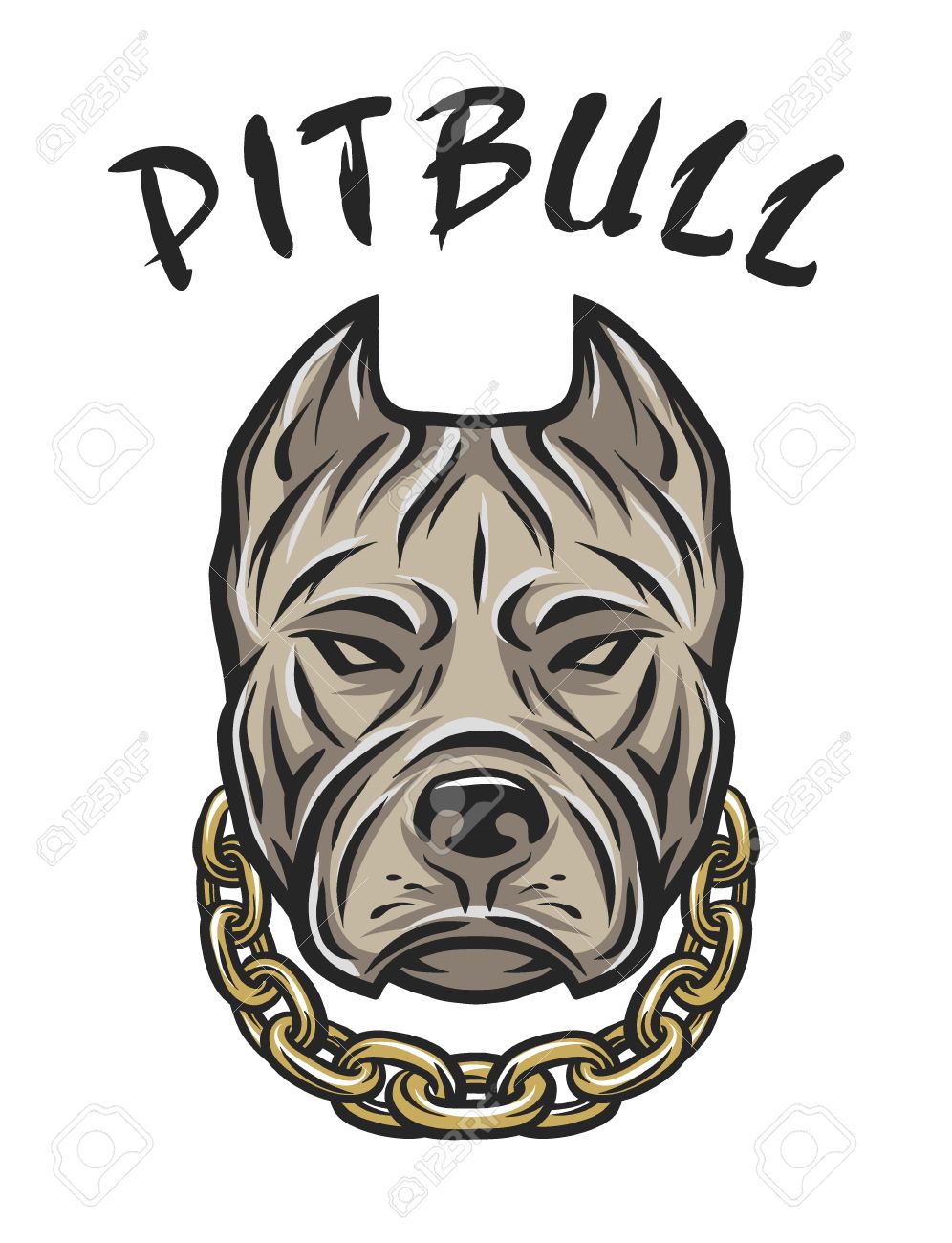pitbull on a chain