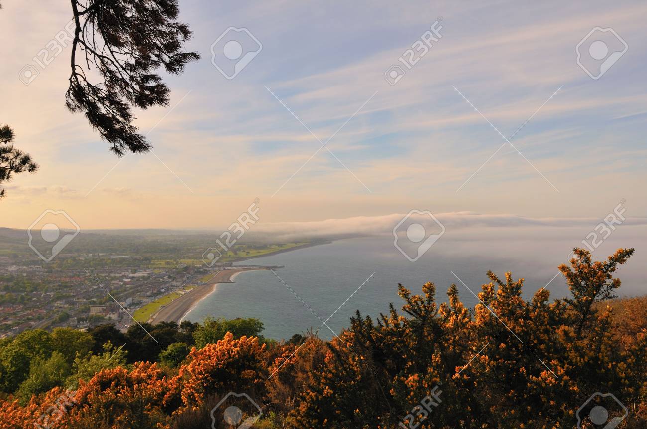 etiam-dictum-ipsum-a-felis