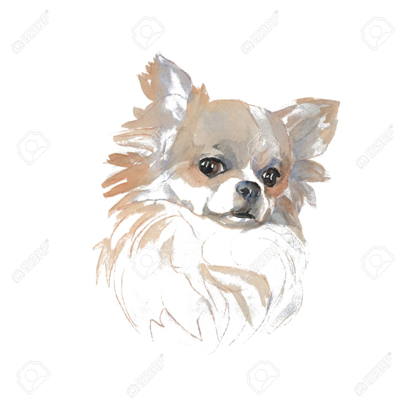 watercolor animal portraits