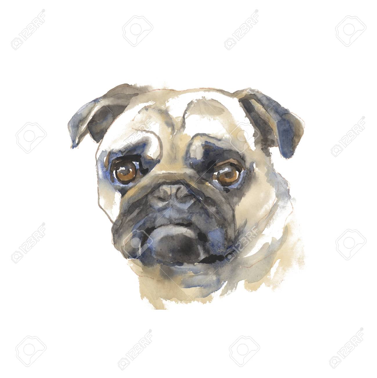 watercolor animal portraits