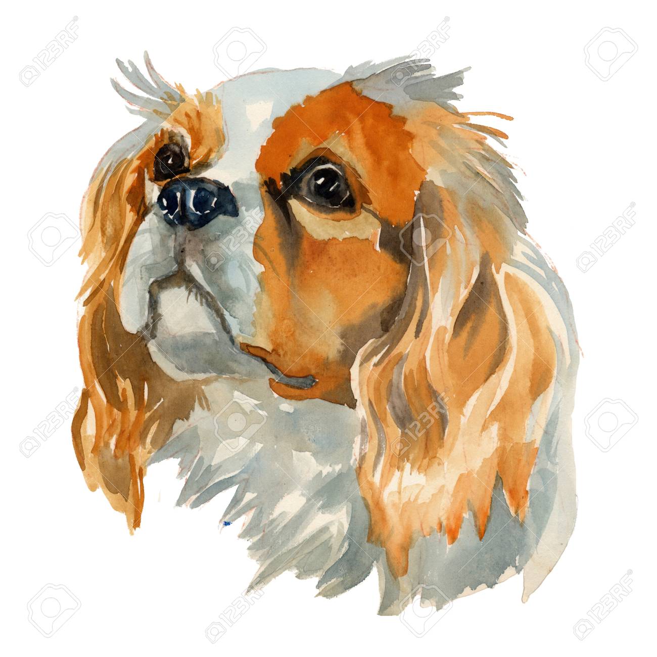 cavalier king charles spaniel paintings