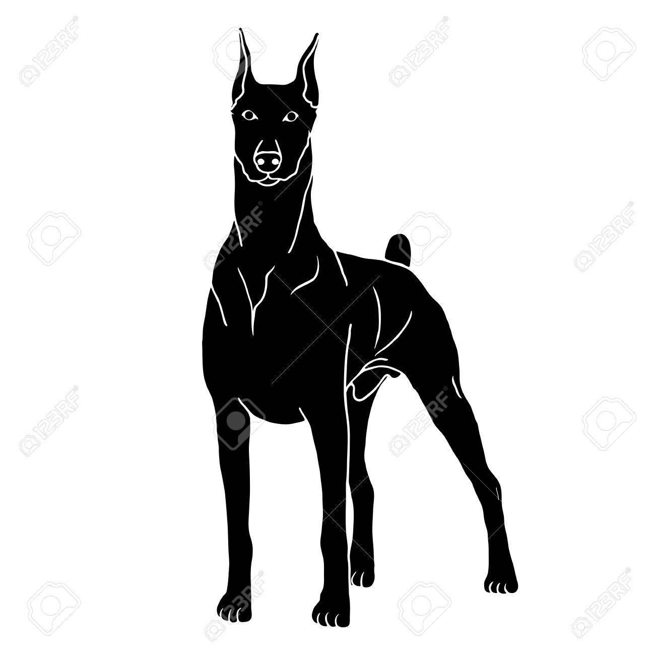 ドーベルマン犬分離の現実的なベクトル図の黒いシルエット のイラスト素材 ベクタ Image ドーベルマン犬分離の現実的なベクトル図の黒いシルエット のイラスト素材 ベクタ Image