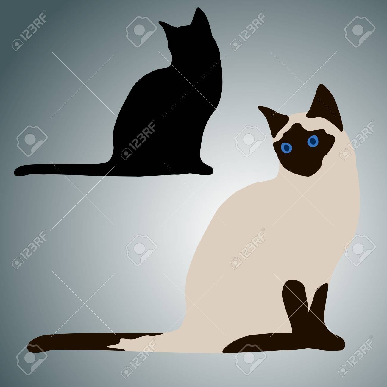 シャム猫は リアルなセットを座っています のイラスト素材 ベクタ Image 5871