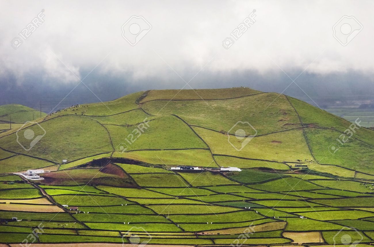 アゾレス諸島テルセイラ島の農園 の写真素材 画像素材 Image