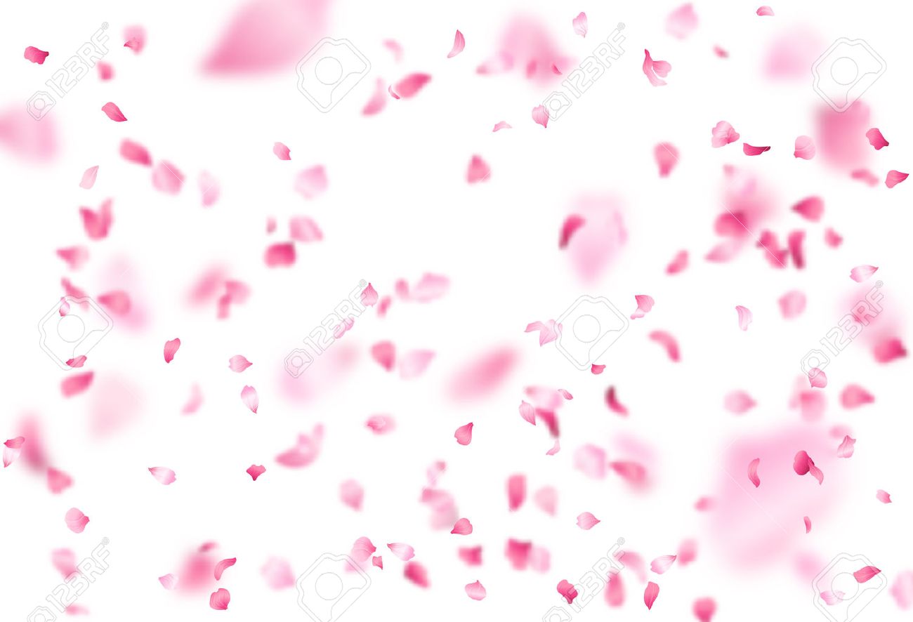 春の背景 白地にピンクの花びらがたくさん 自然水平背景 のイラスト素材 ベクタ Image 春の背景 白地にピンクの花びらがたくさん 自然水平背景 のイラスト素材 ベクタ Image