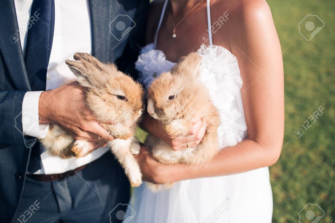Wedding Couple Are Holding Two Small Rabbits, Summer Time Stock Photo,  Picture and Royalty Free Image. Image 76543391., image size:1300x866