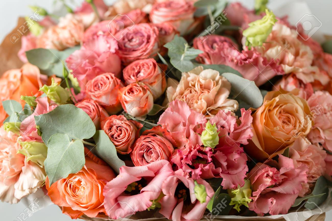 Powdery Pink Color Flower Branch Rose Buds Close Up