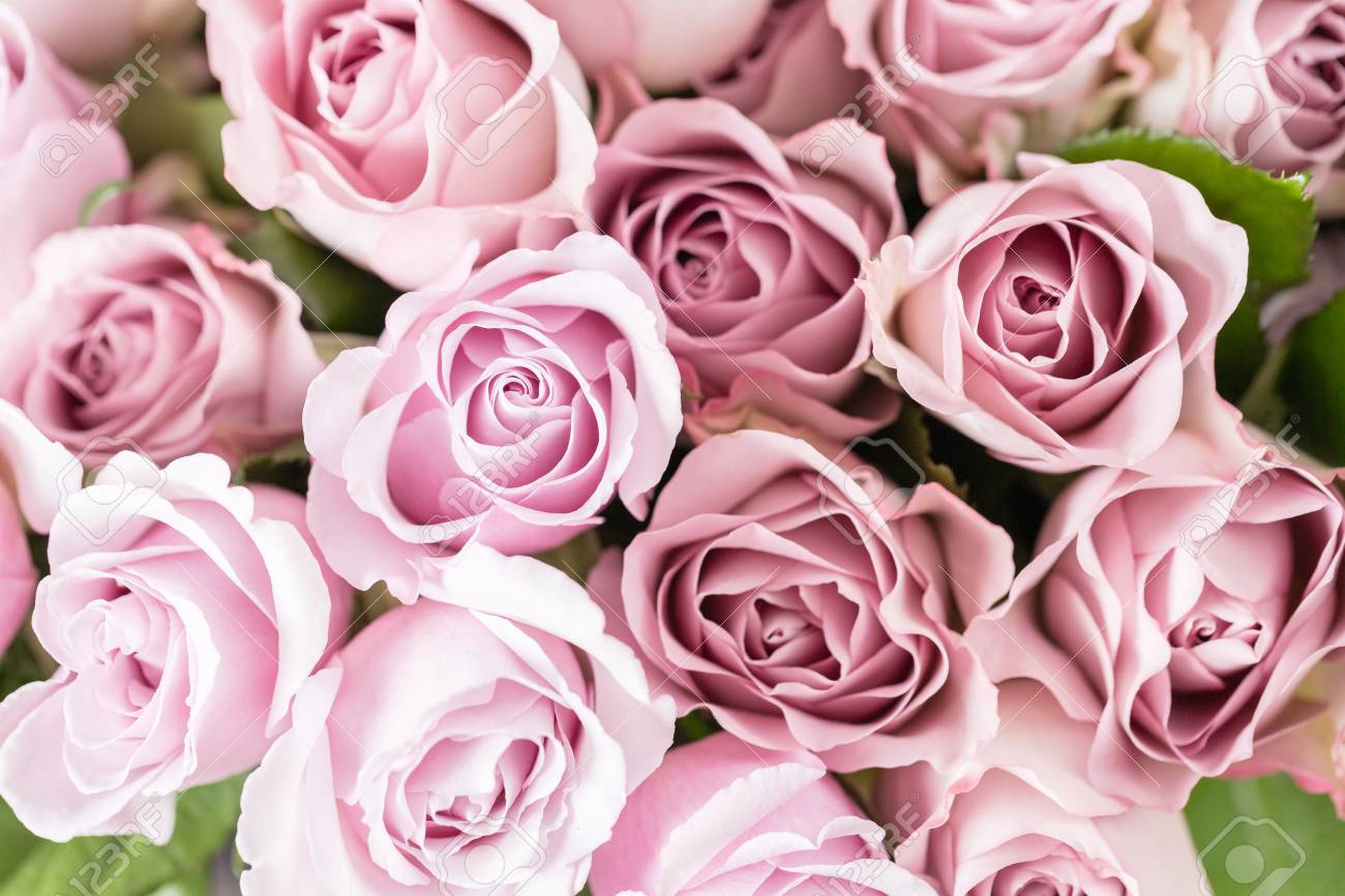 ライラックガーデンローズ ガラスの花瓶にバラの花束の花 みすぼらしいシックなホームインテリア 朝露 バラエティ 壁紙 の写真素材 画像素材 Image ライラックガーデンローズ ガラスの花瓶にバラの花束の花 みすぼらしいシックなホームインテリア 朝露 バラエティ 壁紙 の写真素材 画像素材 Image