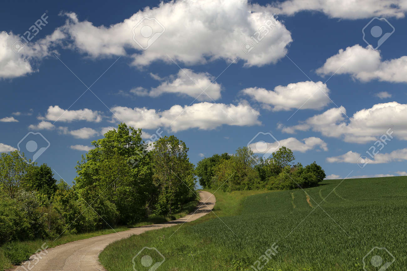 春の風景。牧草地と野原の間の野原道路。の写真素材・画像素材