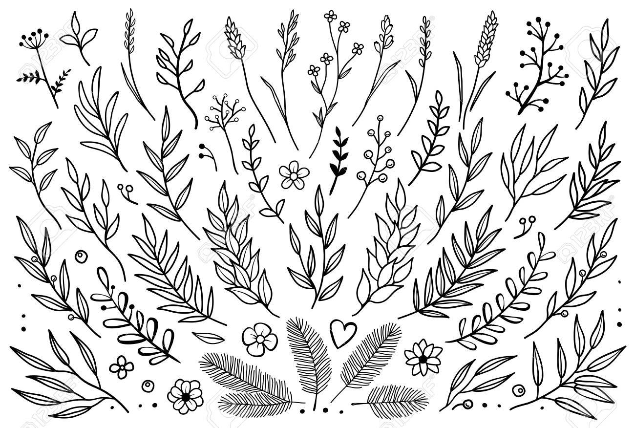 Hand Drawn Set Of Tree Branches With Leaves Flowers Field Grass Royalty Free Cliparts Vectors And Stock Illustration Image Hand Drawn Set Of Tree Branches With Leaves Flowers Field Grass Royalty Free Cliparts Vectors And Stock Illustration Image