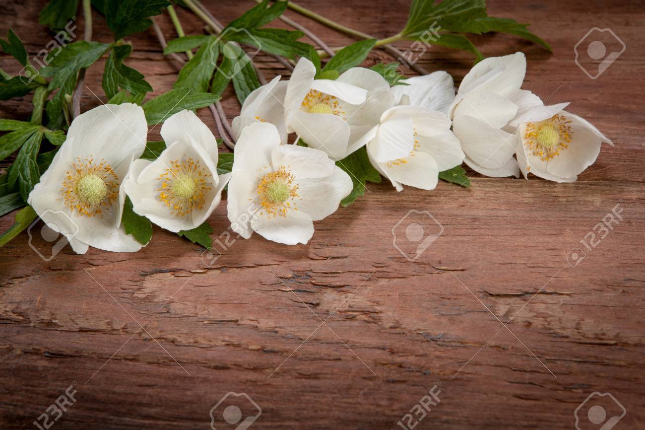 ヴィンテージの木製の背景に白い花束の花 の写真素材 画像素材 Image