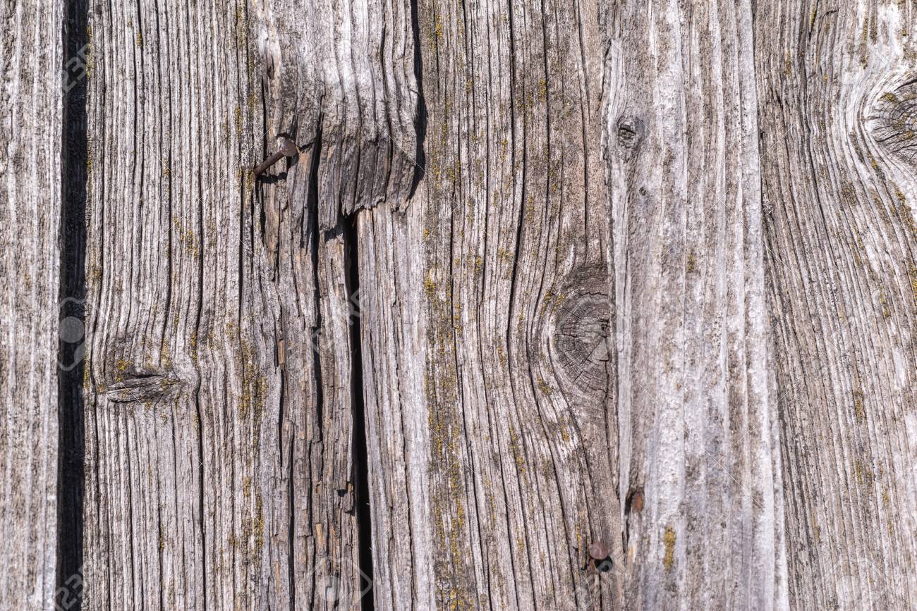 ザラザラした質感と古い朽ちた木の板の割れの抽象的な背景 の写真素材 画像素材 Image ザラザラした質感と古い朽ちた木の板の割れの抽象的な背景 の写真素材 画像素材 Image