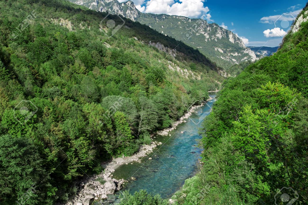 山緑の森自然風景、川渓谷の写真素材・画像素材 Image 66258197