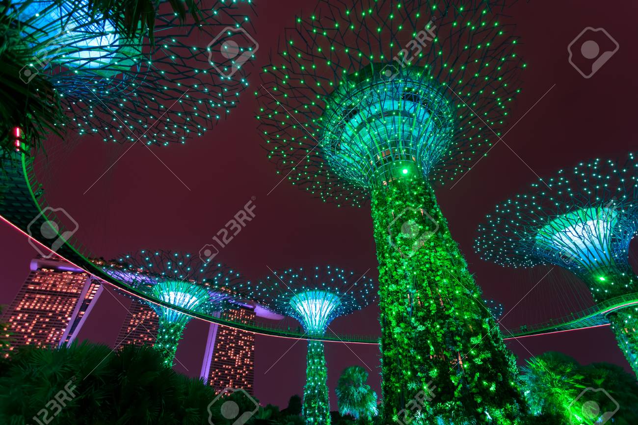 夜にライトアップされたスーパーツリーグローブの森 ガーデンズ バイ ザ ベイ シンガポール市 の写真素材 画像素材 Image