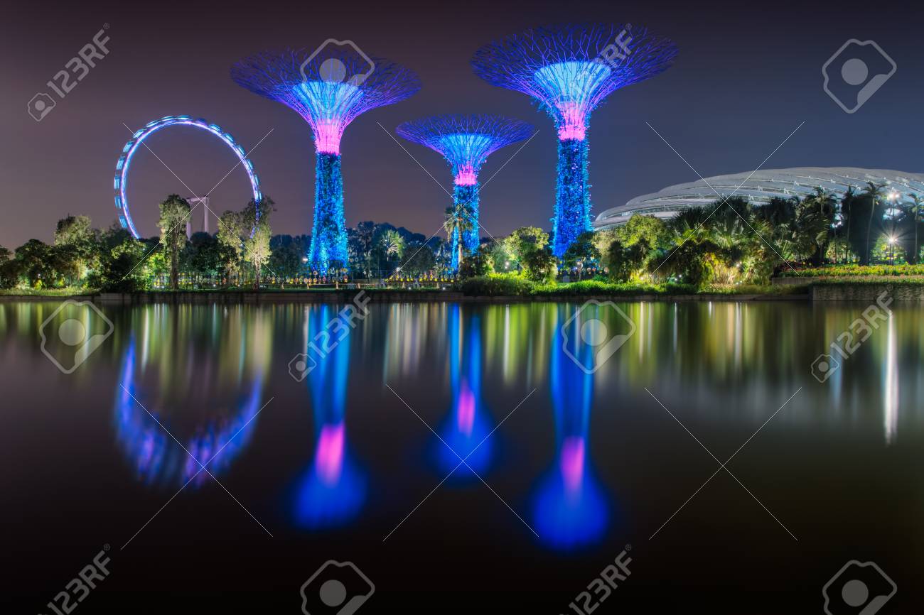 ガーデンズ バイ ザ ベイ スーパーツリーと観覧車 シンガポール フライヤーは水に反映されています 夜に照らされる シンガポールの都市景観 の写真素材 画像素材 Image