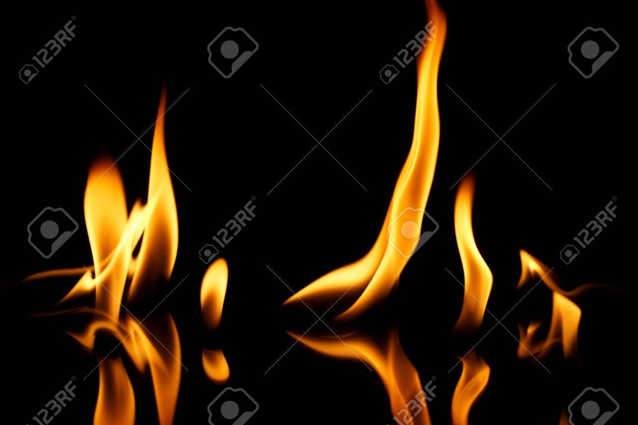 etiam-dictum-ipsum-a-felis