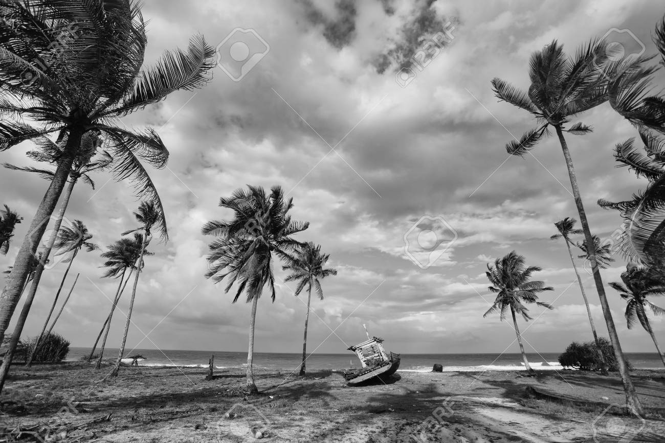 Black and white scenery of fisherman village with coconut tree boat and beach stock photo