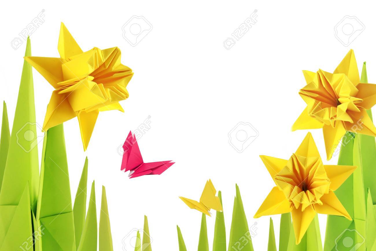 白い背景上の折り紙春水仙下部 の写真素材 画像素材 Image