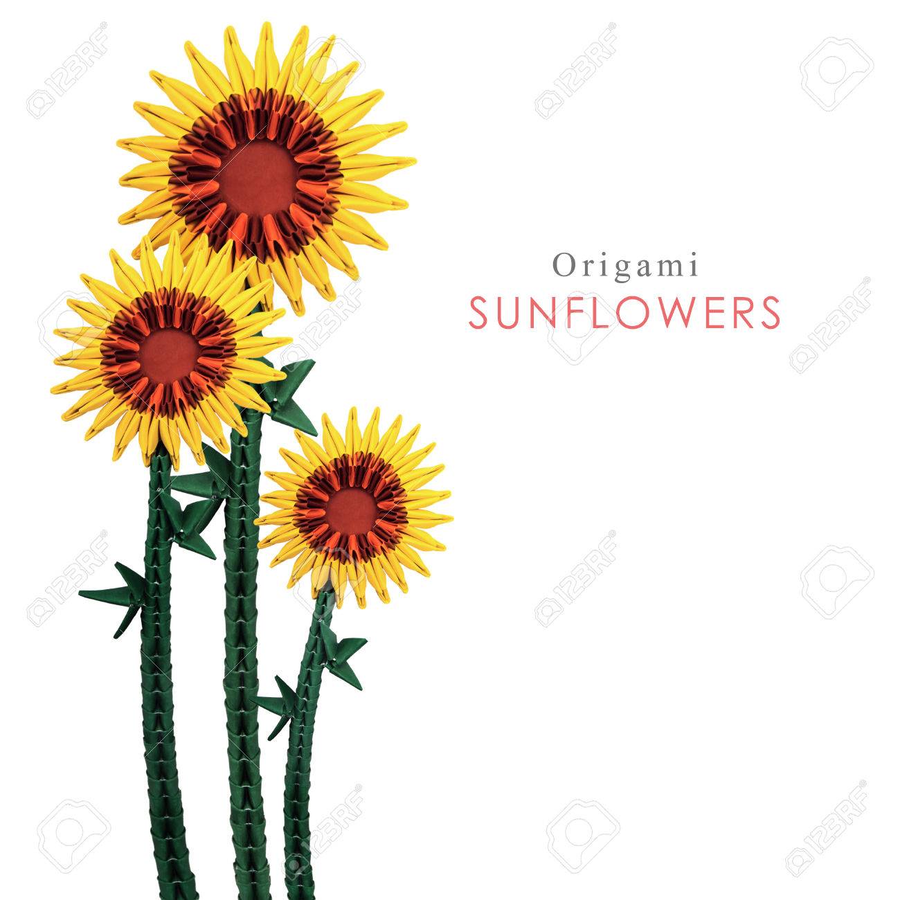 Origami Art Nature Sunflowers Head Sun Energy On A White Background