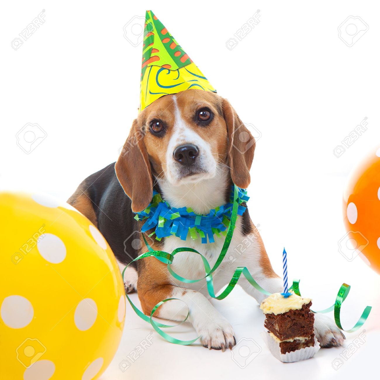 beagle birthday cake