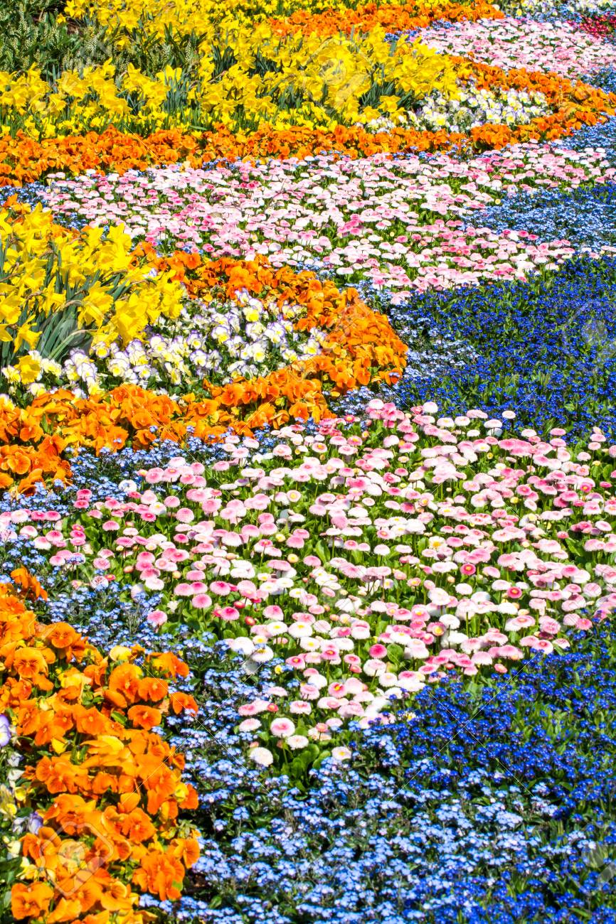 豪華な庭花いっぱい花壇 の写真素材 画像素材 Image