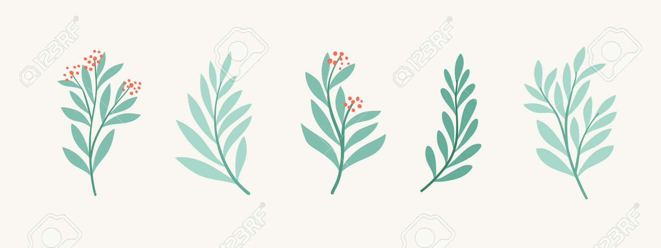Set of vector floral elements. Hand drawn leaves isolated. Botanical illustration for decoration, print design. - 168265027 Set of vector floral elements. Hand drawn leaves isolated. Botanical illustration for decoration, print design. - 168265027