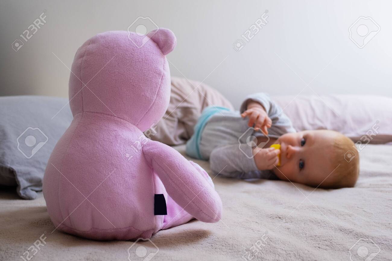 pink teddy blanket