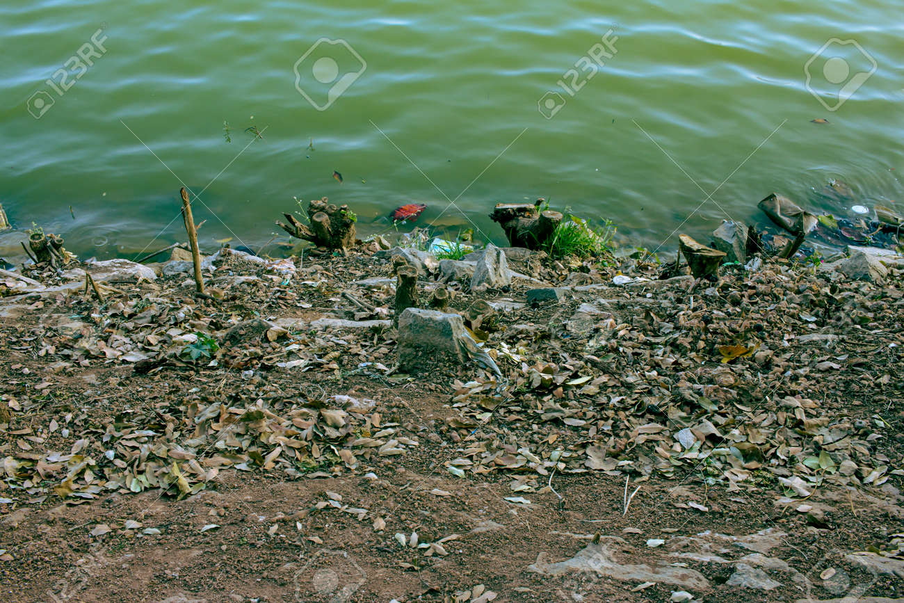 Bank of one of the biggest lake in Bangalore, Karnataka, India - 164966825 Bank of one of the biggest lake in Bangalore, Karnataka, India - 164966825