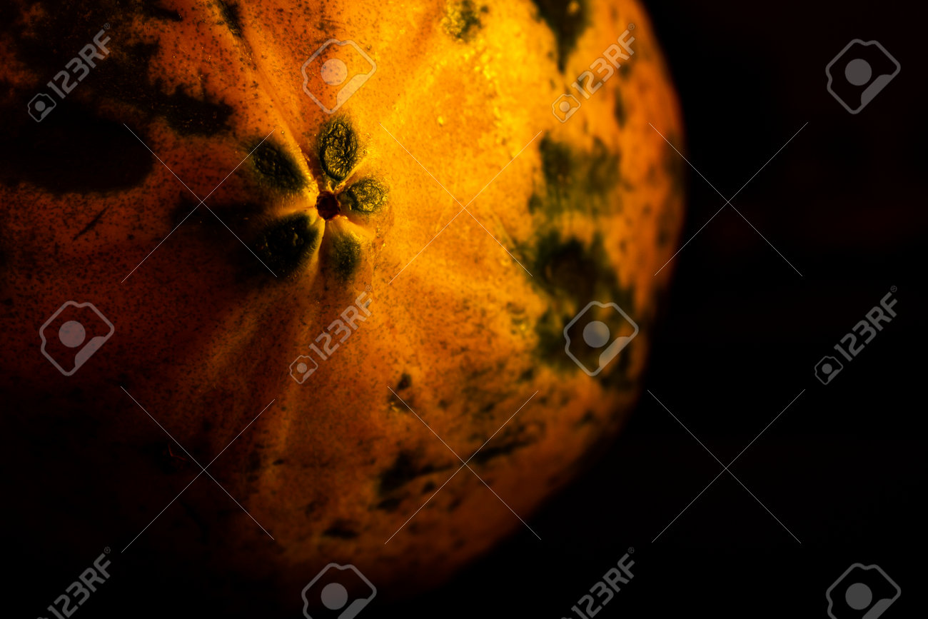 Papaya fruit isolated on black background. Use for fruit concept. Selective focus - 165339404 Papaya fruit isolated on black background. Use for fruit concept. Selective focus - 165339404