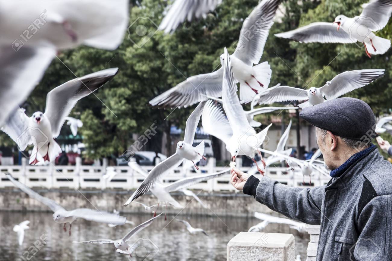 etiam-dictum-ipsum-a-felis