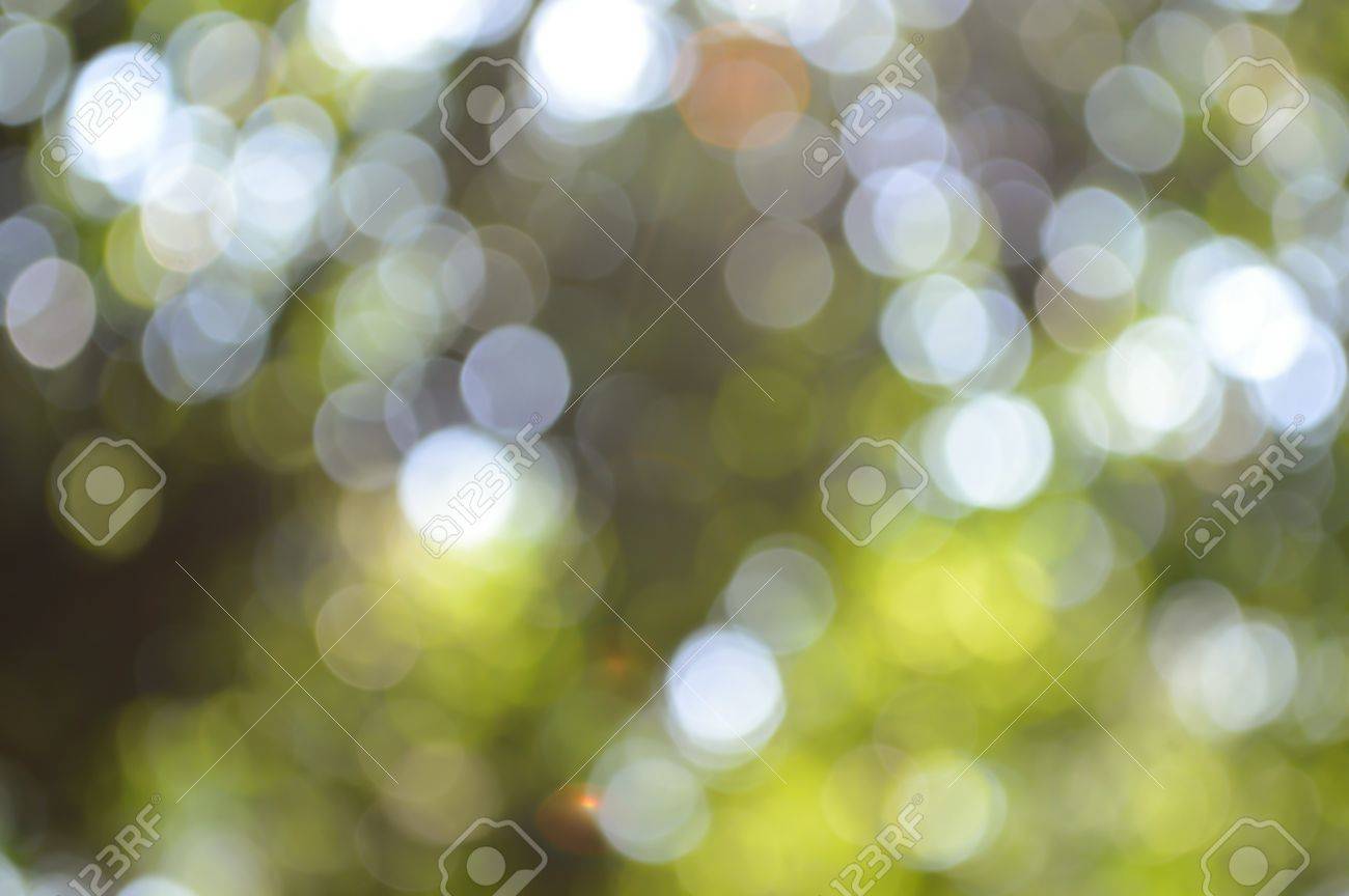 picture Photography Bokeh Effect Background 123rf